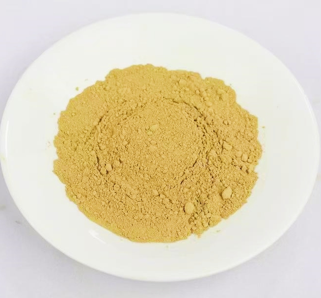 Carnosic Acid Powder CAS No: 3650-09-7 6 Carnosic Acid Powder