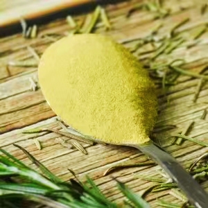 Carnosic Acid Powder CAS No: 3650-09-7 8 Carnosic Acid Powder