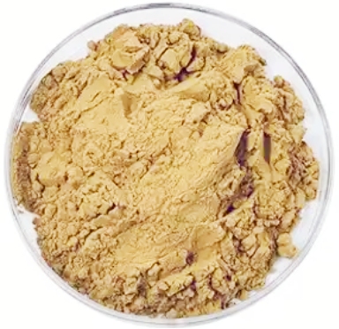 Carnosic Acid Powder CAS No: 3650-09-7 3 Carnosic Acid Powder