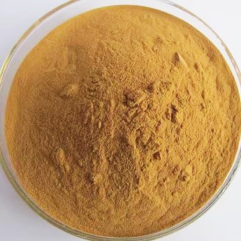 Carnosic Acid Powder CAS No: 3650-09-7 2 Carnosic Acid Powder